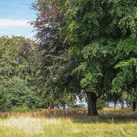 4 Bedroom Amazing In *