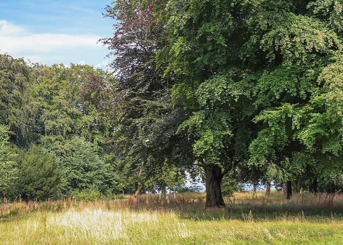 4 Bedroom Amazing In *